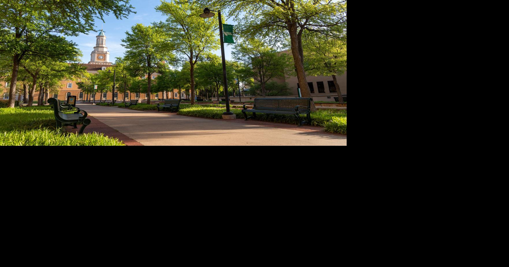 UNT promotes dean to interim provost post