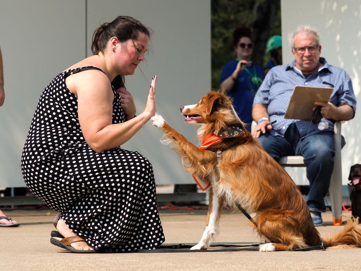 20210911_drc_news_DogDays_15