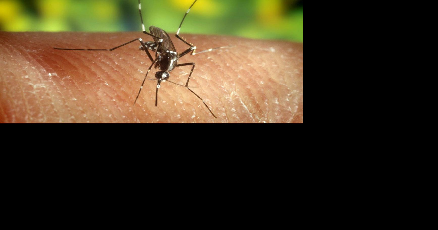 Stay up to date on West Nile virus in Denton County: Jul 16, 2026 Jul 16, 2026 Updated 4 mins ago