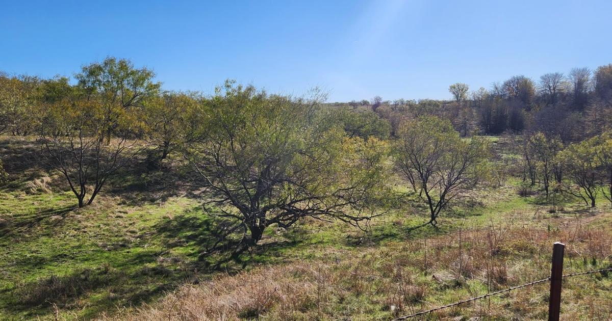 TCEQ ruling advances proposed sewage plant near Sanger for ‘lagoon community' opposed by neighbors Jul 24, 2026 Jul 24, 2026 Updated 10 mins ago