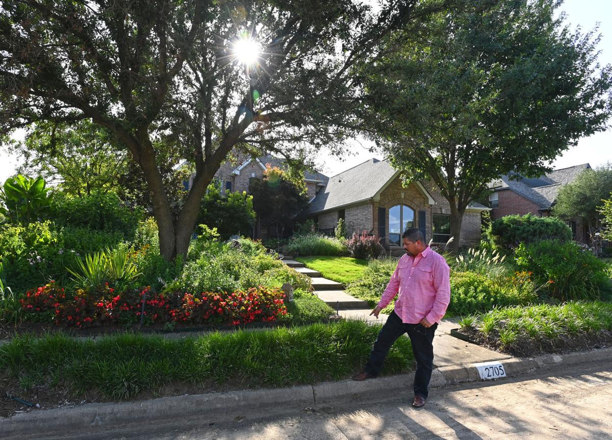 Native Plants Cement And Conflict A Flower Mound Family Clashes With Hoa Over Narrow Strip Of Property Dentonrc Com