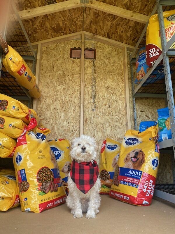 Food pantry for dogs near clearance me