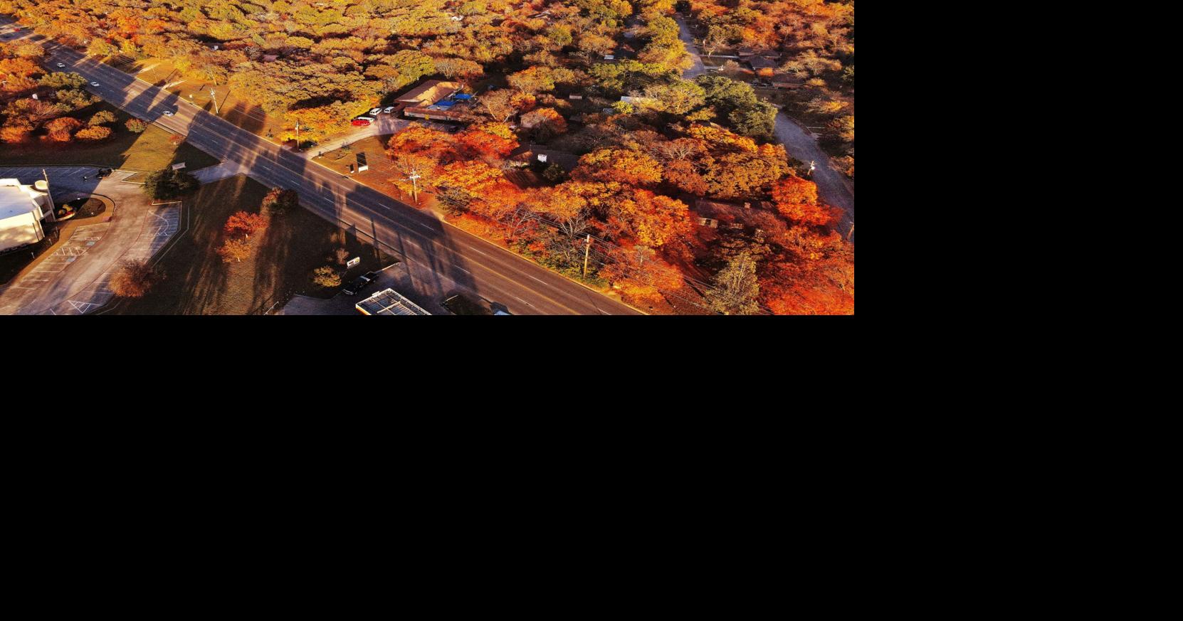 How many trees do we still have in Denton? Stateoftheart tech is going to find out in new