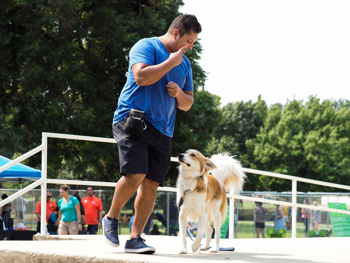 20210911_drc_news_DogDays_19