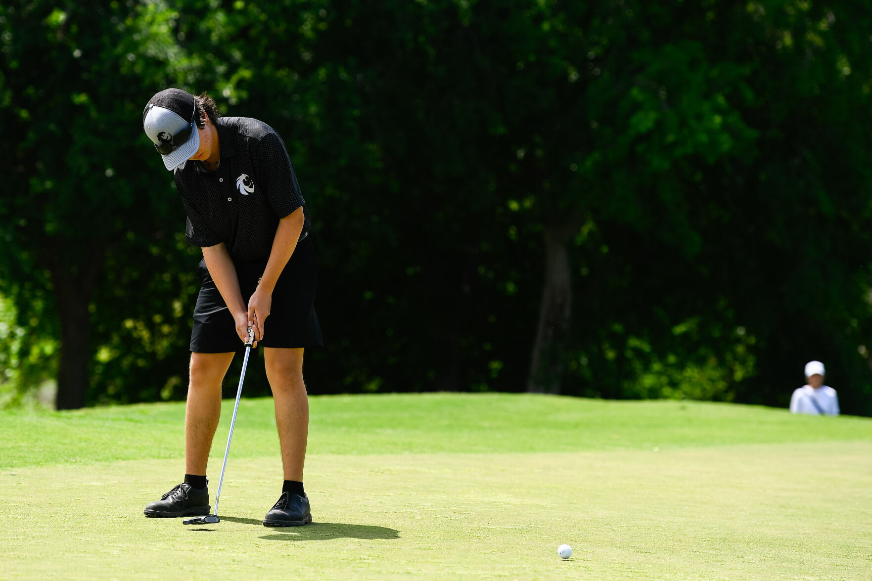 Seven local golfers make cut for boys state tournaments