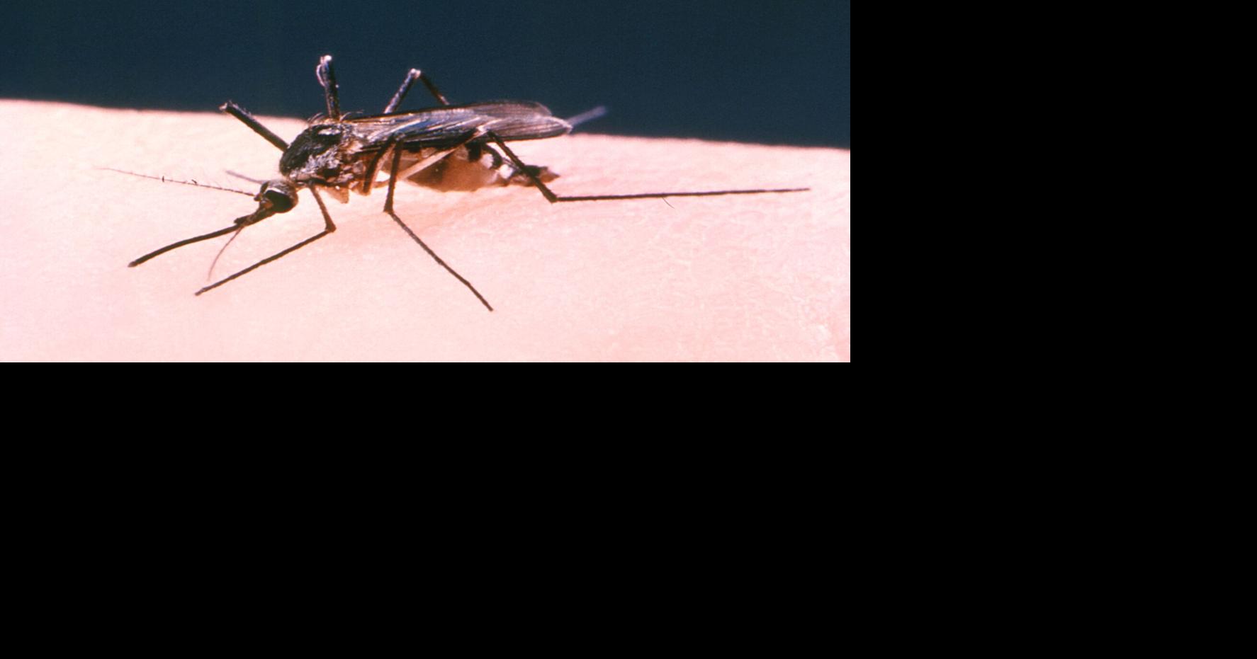 Denton County reports second neuroinvasive West Nile human case, third total