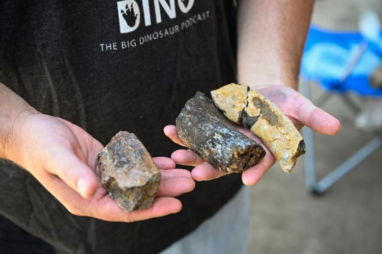 Bo knows bones: Dinosaur fossil discovered in Denton by local educator |  Denton 