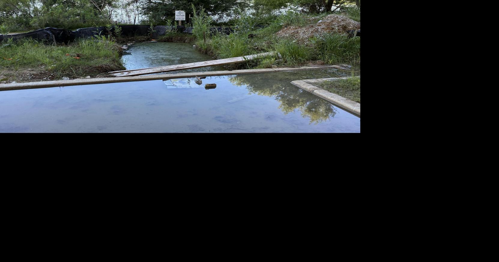 Featured ‘I can't keep sending them emails': Unicorn Lake owner wants city to act on pollution a year after fish kill Jul 7, 2026 Jul 7, 2026 Updated 1 min ago