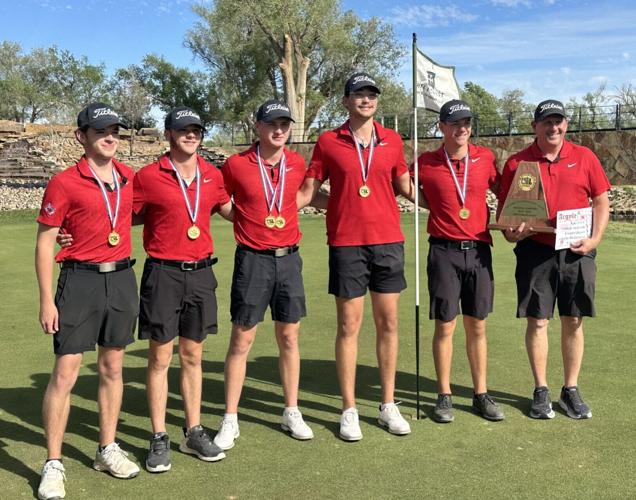 Seven local golfers make cut for boys state tournaments | High Schools ...