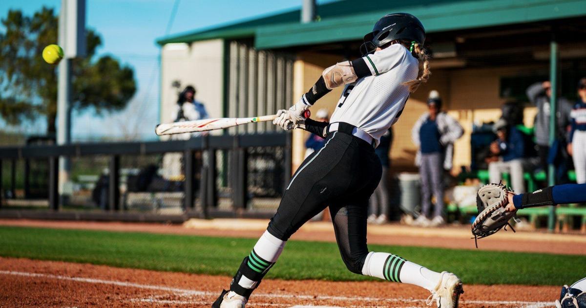 Nicholson delivers as UNT takes first two games of series against UTSA ...