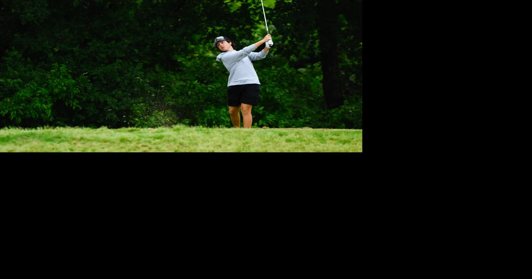 How local competitors fared in boys state golf tournaments | High ...