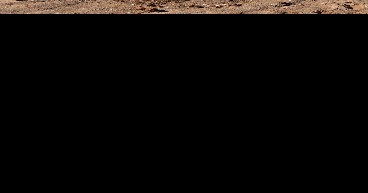 DATCU credit union breaks ground on new branch News