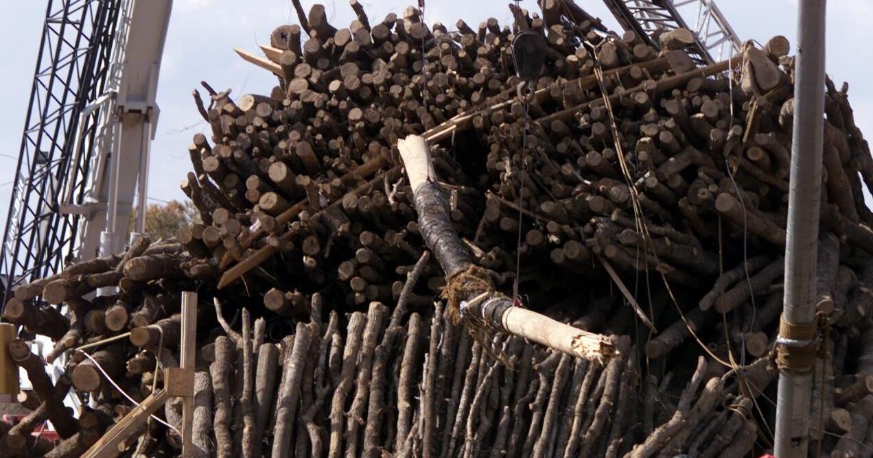 Texas A&M bonfire will not return to campus - Vimarsana News