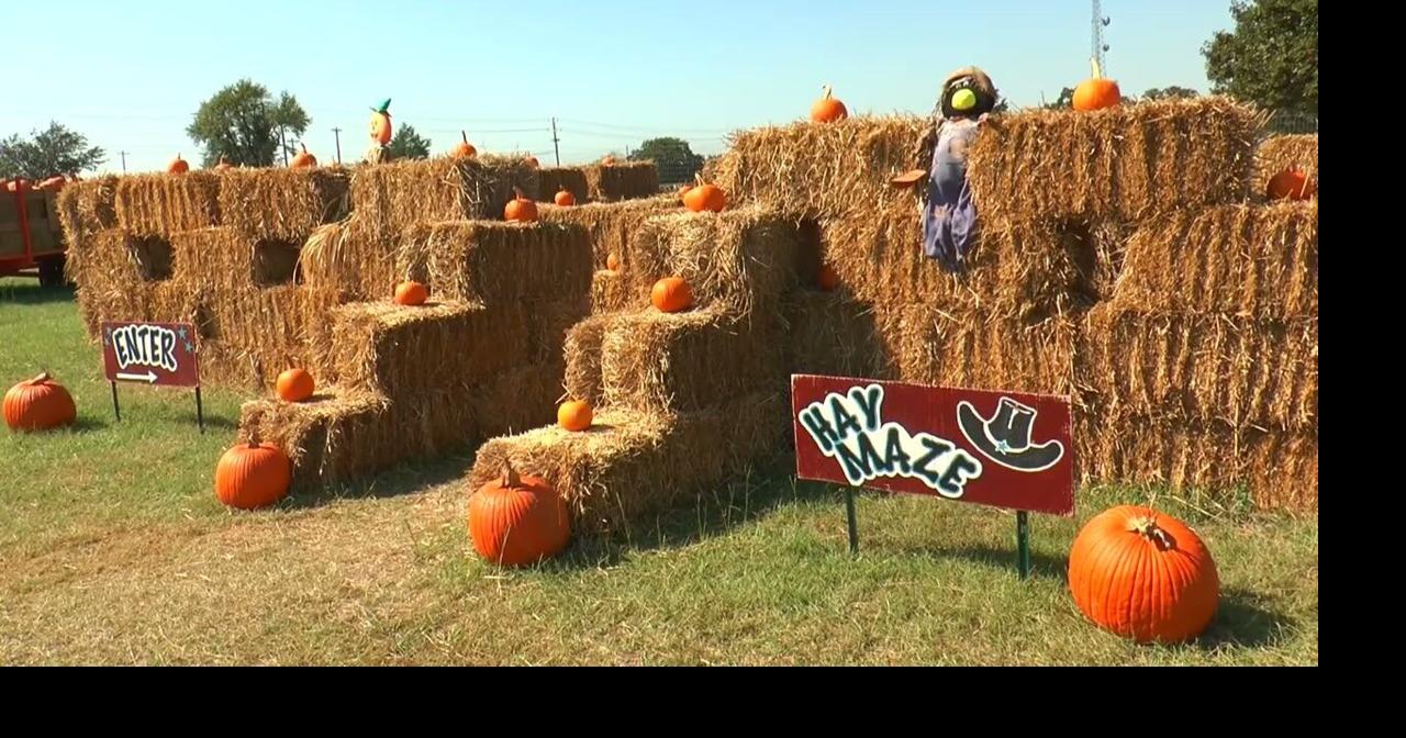 Best places in Denton to enjoy the cooler weather Denton U