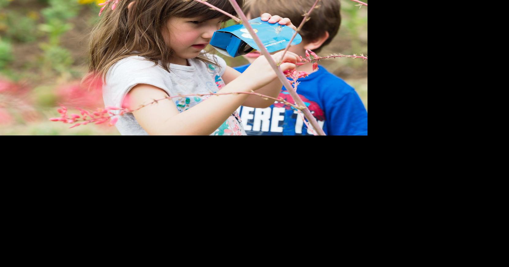 Summer Fun Guide 2021 camps, activities and classes return Education