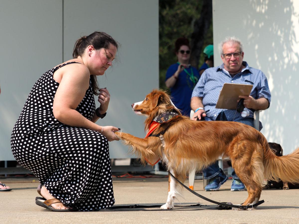 20210911_drc_news_DogDays_14