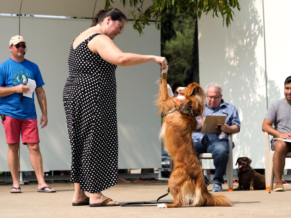 20210911_drc_news_DogDays_16