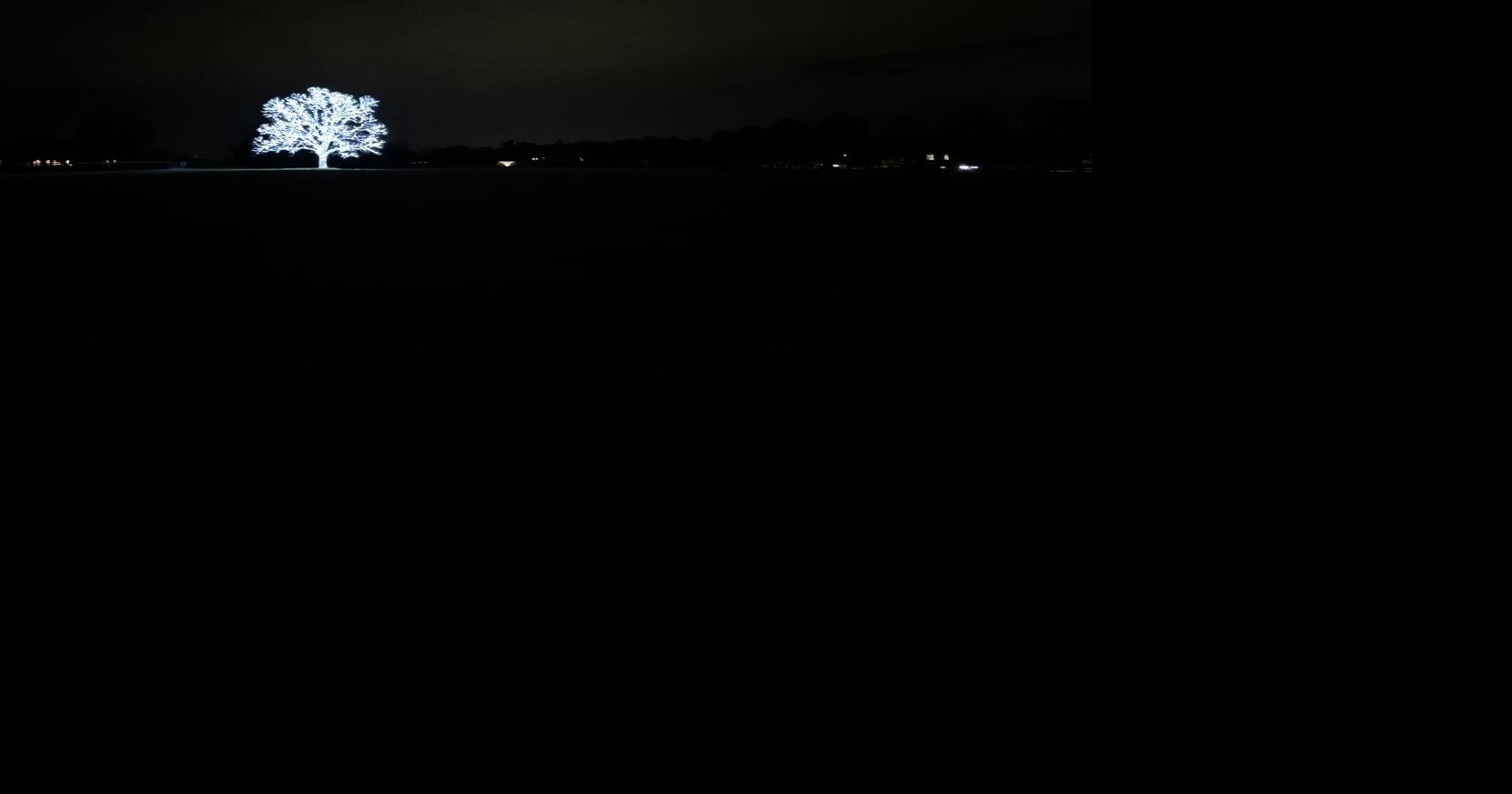 How to find your way to the famous pecan tree lit up for Christmas in