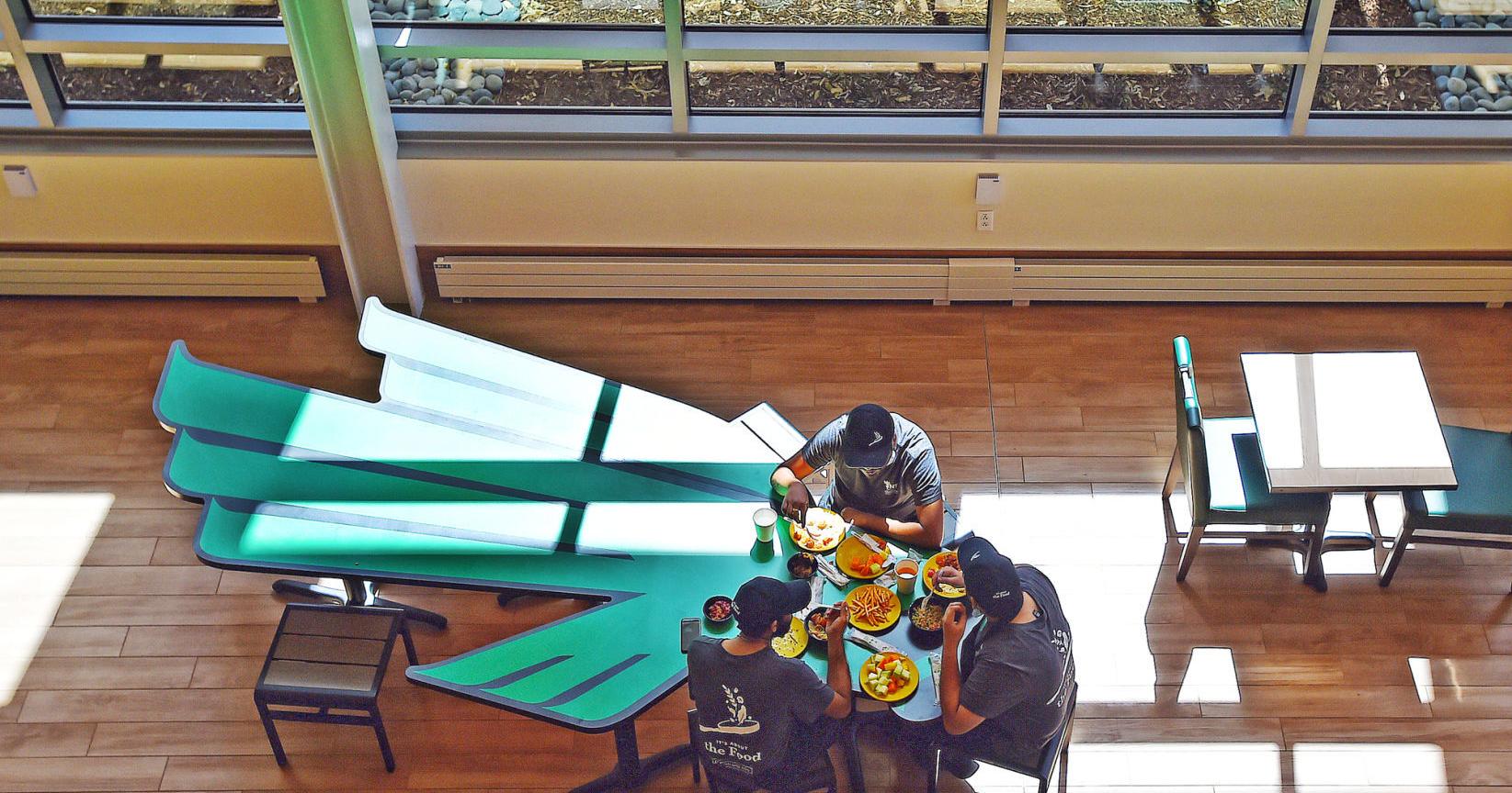The UNT student's guide to 2023-24 meal plans, prices and more - Vimarsana News