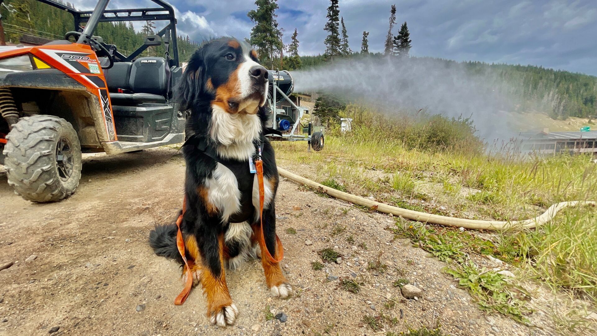 WATCH: Colorado Ski Resort Tests Its Snow Guns | Skiing And ...