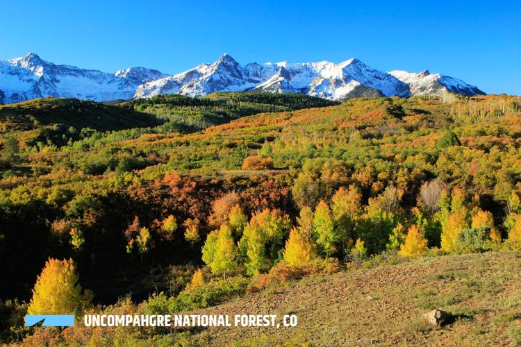 By the Numbers: Colorado’s 11 National Forests