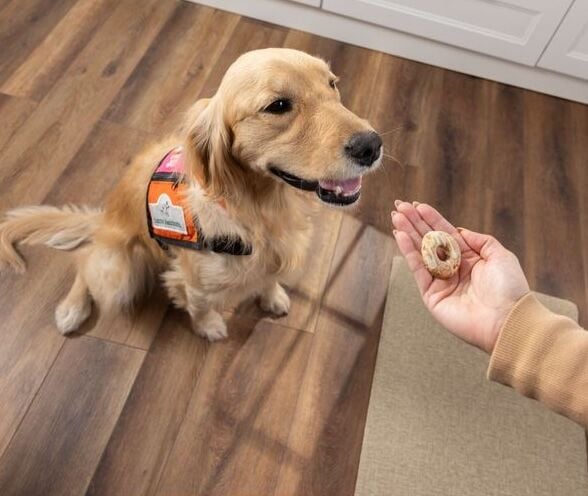 Donut inspired dog treats by Milk Bone and Dunkin'