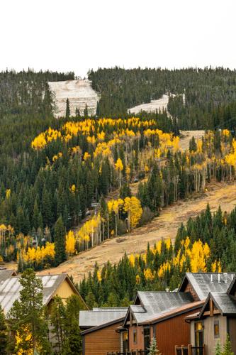 Snow and aspen trees at Keystone fall 2023