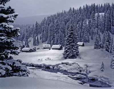 Snow in the Colorado mountains Photo Credit: dszc (iStock)