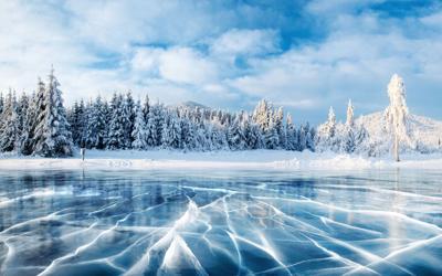 Frozen lake and pines Photo Credit: standret (iStock).