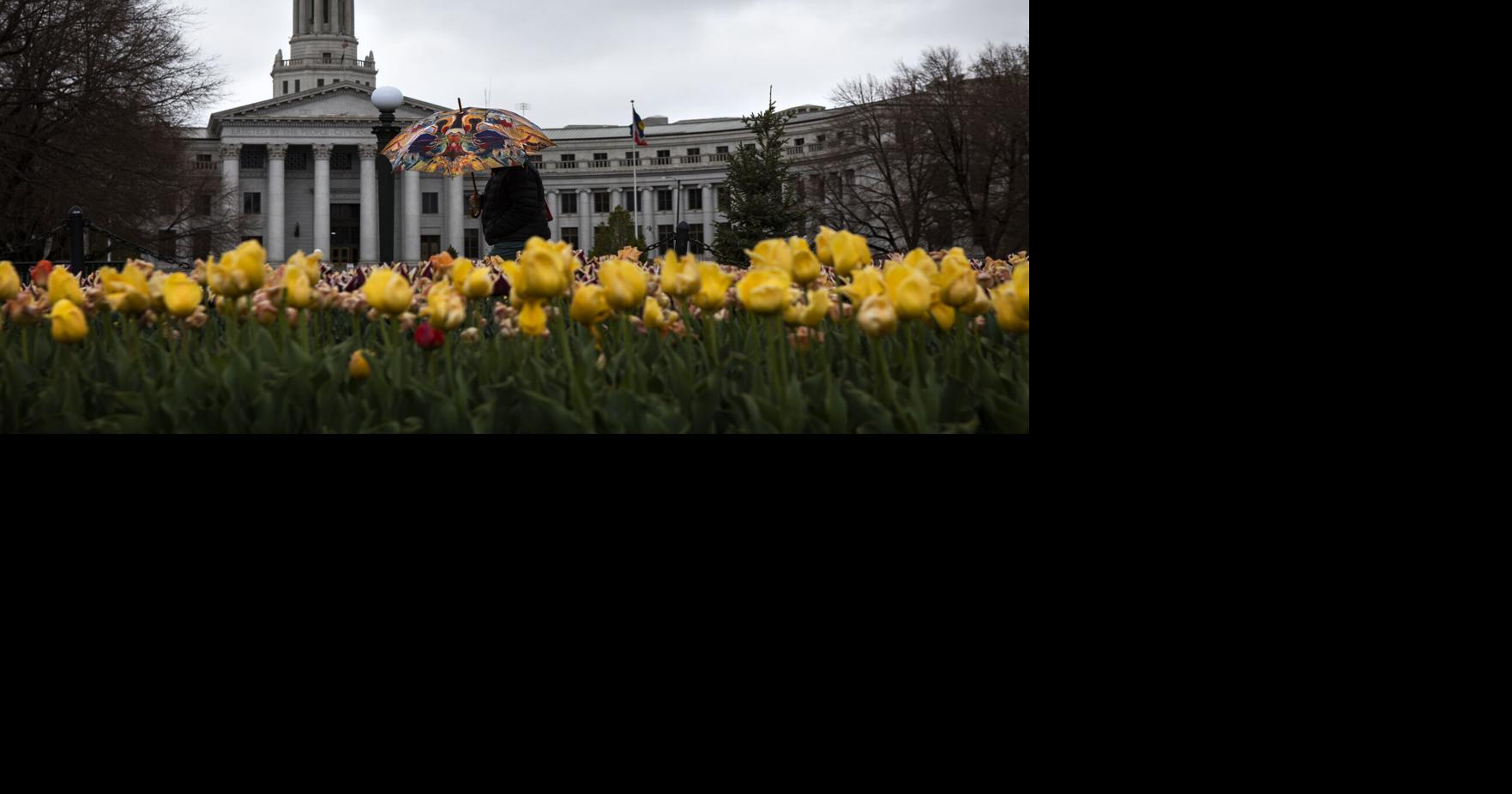 Proposal aims to make Denver City Council meetings more efficient