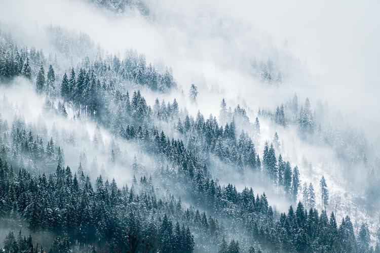 Misty Mountains Photo Credit: Markus Novak (iStock).