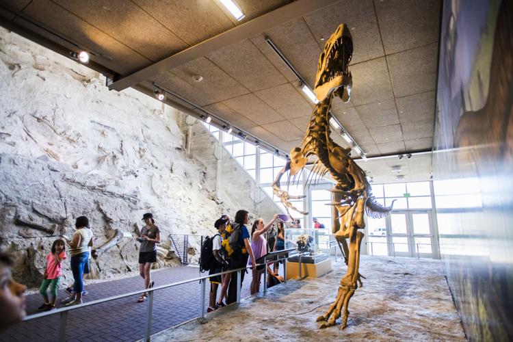 061818 ot dino park 1.jpg