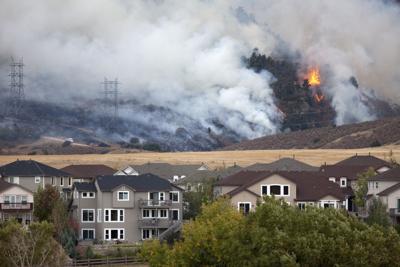 Pine trees and scrub oak burn behind homes at the Wadsworth Ridge fire, located outside of Denver, Colorado, on October 12, 2010. Photo Credit: milehightraveler (iStock).