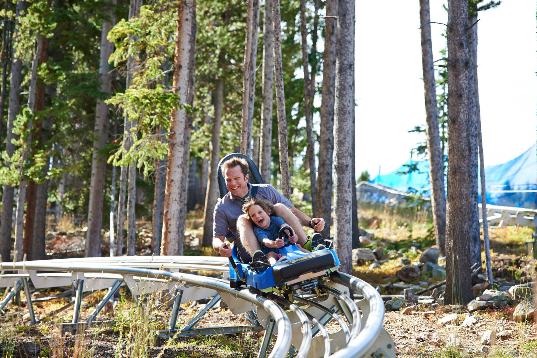 8 alpine coasters found around Colorado s mountains