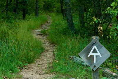 Sign for the Appalachian Trail. Photo Credit: John M. Chase (iStock).