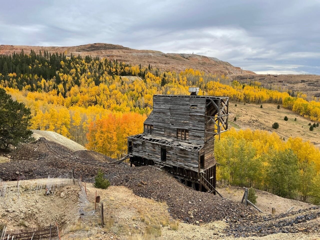 Tods colorado discount gold mine