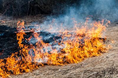 The burning dry grass with opaque dense bluish smoke