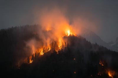 Forest wildfire Photo Credit: 24K-Production (iStock).
