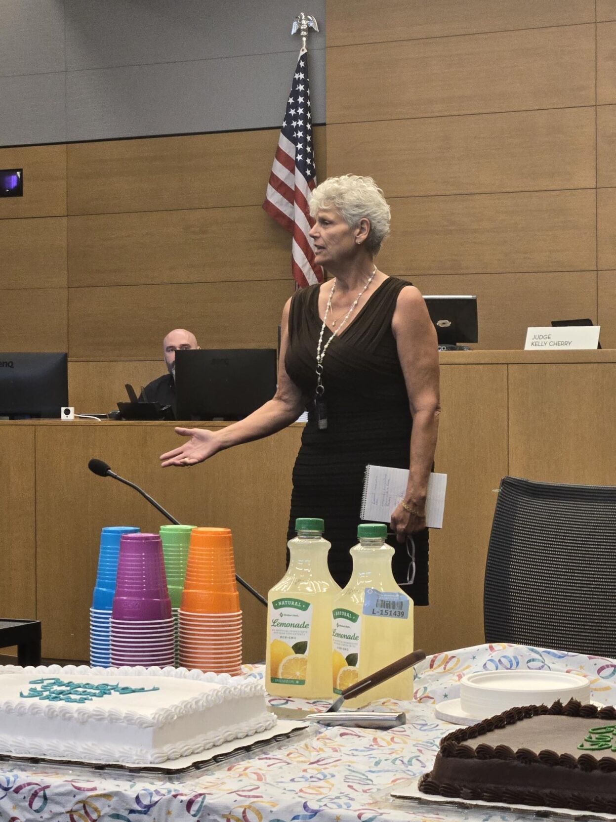 Denver County Court Case Search - evk2ux5