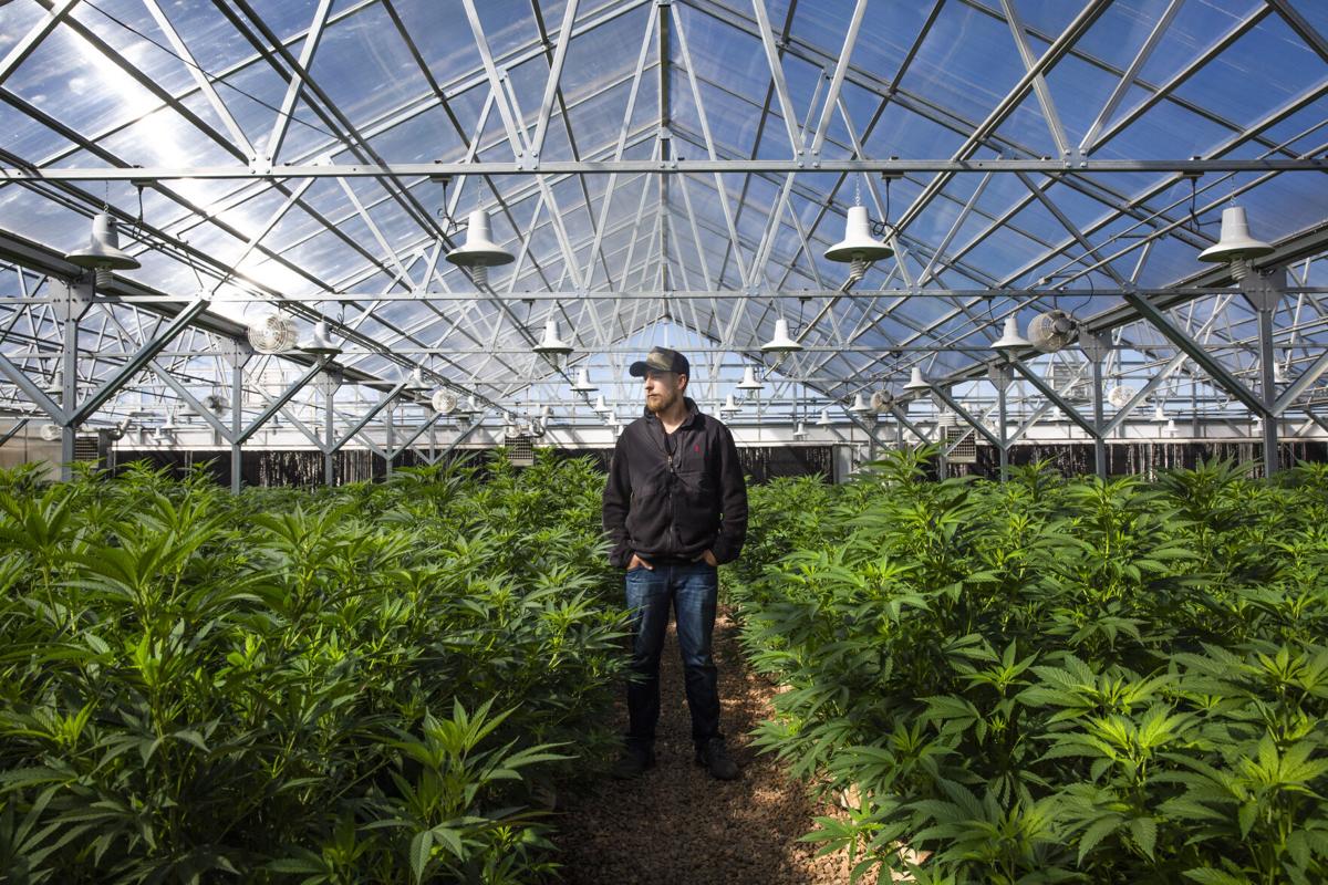 101120-biz-hemp-depot 01