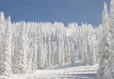 This Colorado Ski Resort Trademarked Their Snow!