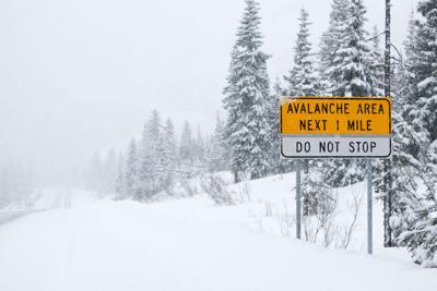 Two Boarders Buried in Avalanche Near Telluride