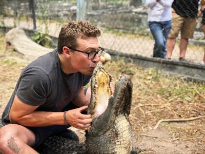 What’s Up with Colorado Alligator Wrestling?