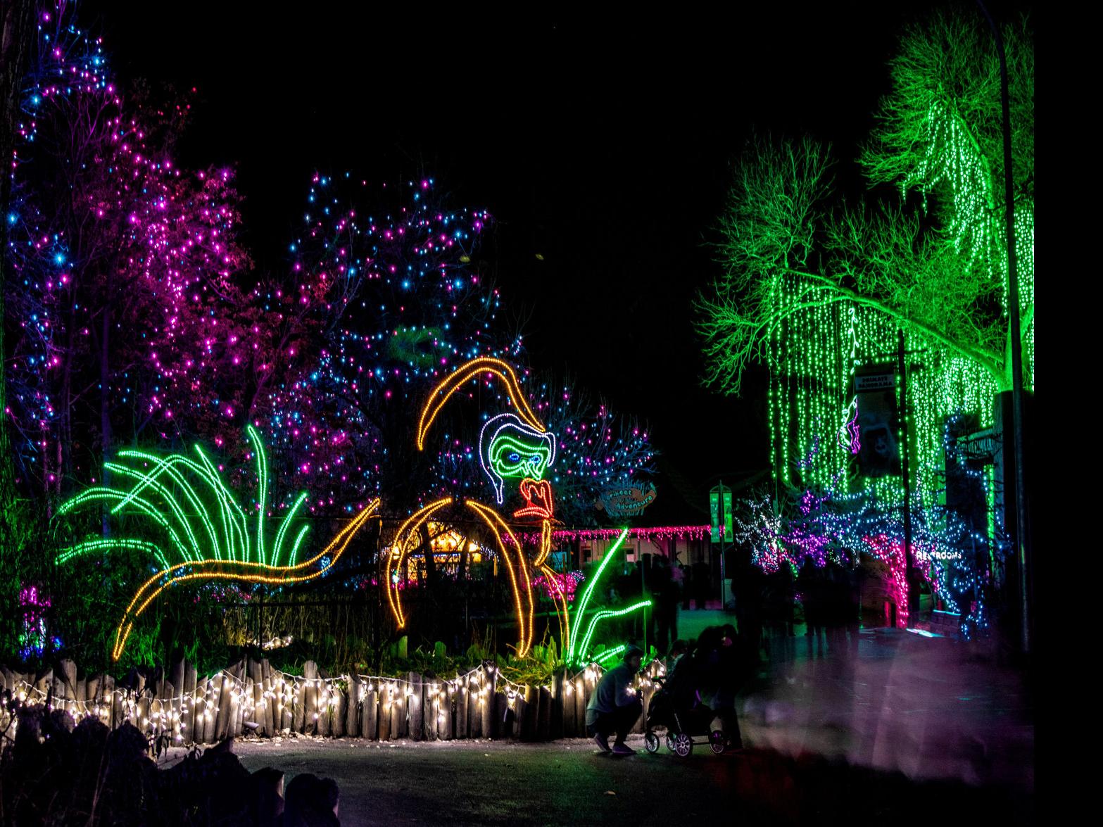 Denver Zoo Christmas Lights 2021 Sales Begin For Denver Zoo S 30th Zoo Lights Things To Do Denvergazette Com