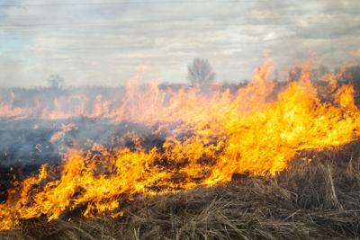Big fire in the field Photo Credit: rootstocks (iStock).