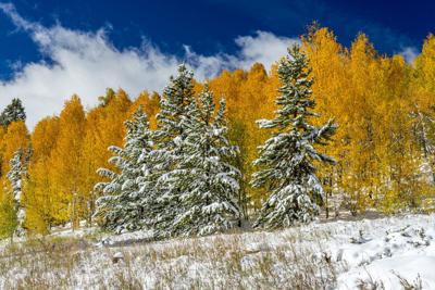 Mixed Seasons of Fall and Winter Photo Credit: skibreck (iStock).