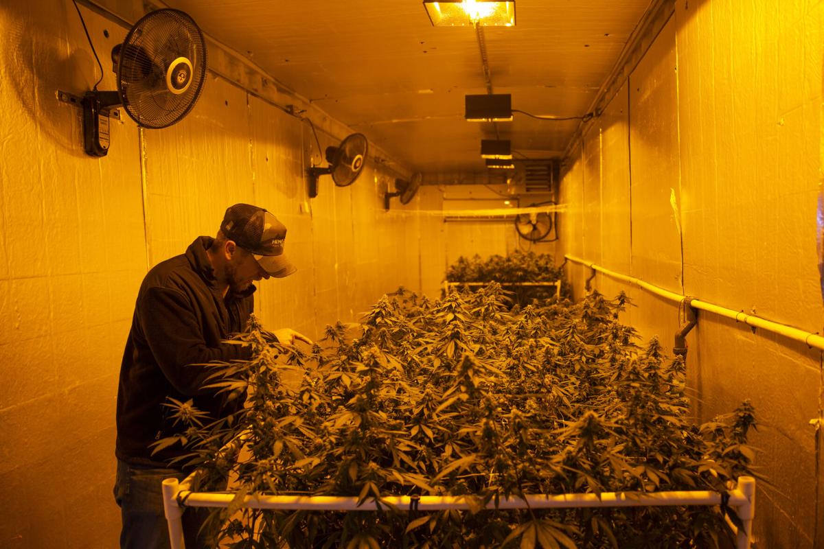 101120-biz-hemp-depot 04