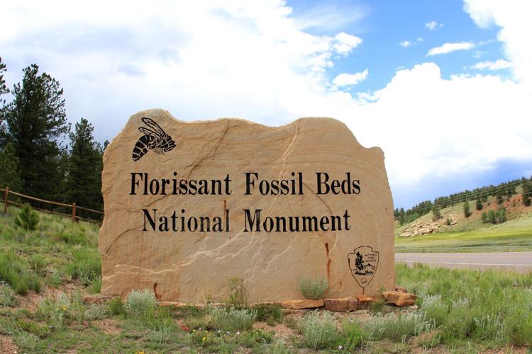 Florissant Fossil Beds National Monument: 6 Things to Know Before You Go