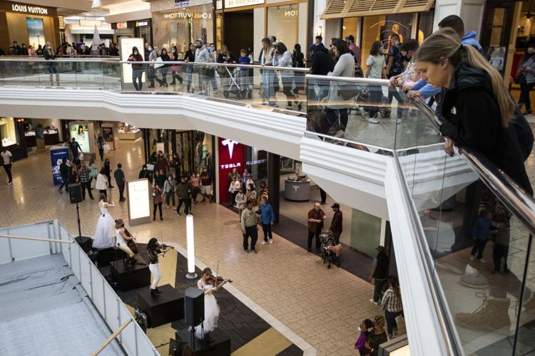 Black Friday shoppers pack Ross Park Mall