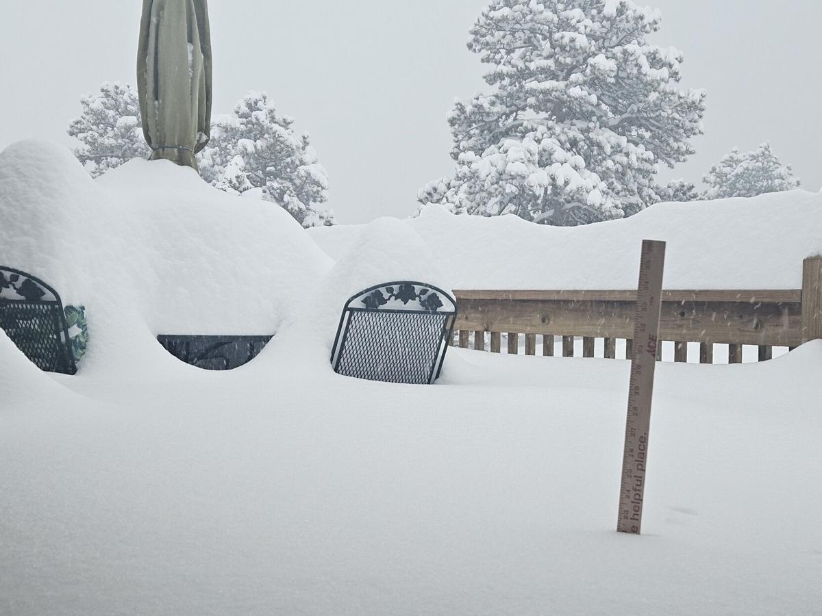 Snow totals March 14 metro Denver and northern Colorado Denver Metro